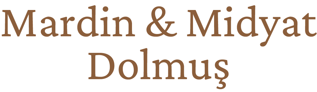 Mardin midyat dolmuş seferleri